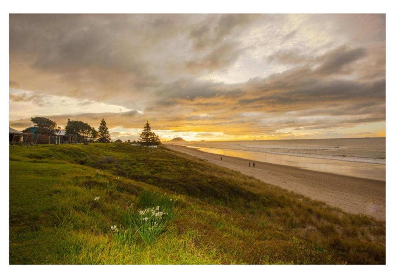 Cabbage Tree - Summer Or Winter Beachfront Haven Papamoa Bagian luar foto